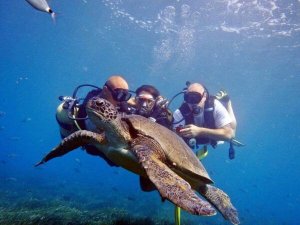 Unforgettable Diving Experience: From Beginners to Advanced - Additional Activities
