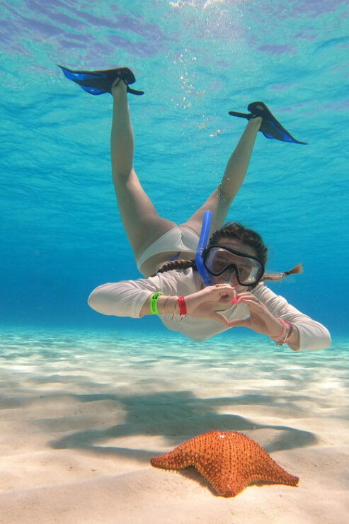 Unforgettable Francophone Excursion Cozumel El Cielo and Turtle - Itinerary Highlights
