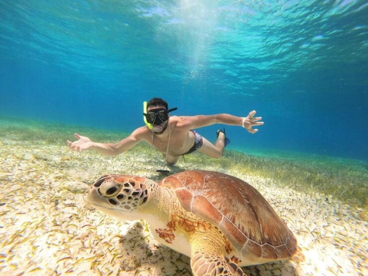 Unforgettable Francophone Excursion Cozumel El Cielo and Turtle - Good To Know