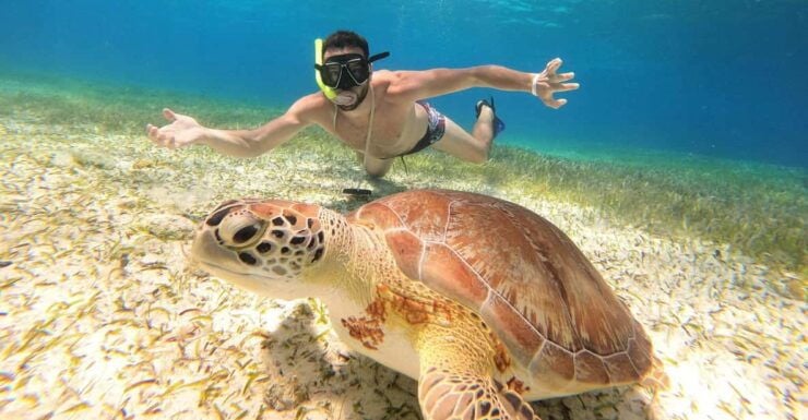 Unforgettable Francophone Excursion Cozumel El Cielo and Turtle - Itinerary Highlights