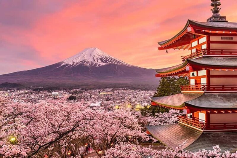 Unforgettable Full-Day Tour to Mount Fuji - The Sum Up: Who Is This Tour Best For?