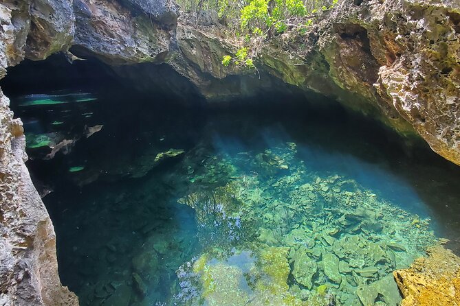 Unforgettable Land Tour on Long Island Bahamas - Reviews and Ratings