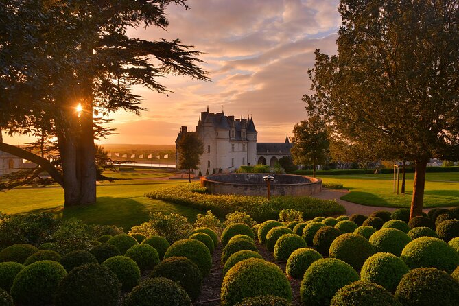 Unforgettable Loire Valley VIP Tour (From Paris) - Tree Castles in One Day! - Discovering Château De Chenonceau
