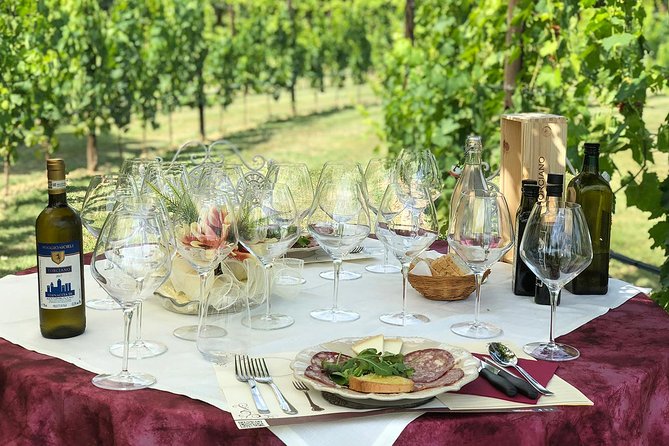 Unforgettable Lunch in the Vine Rows in Tuscany - Overview of the Experience