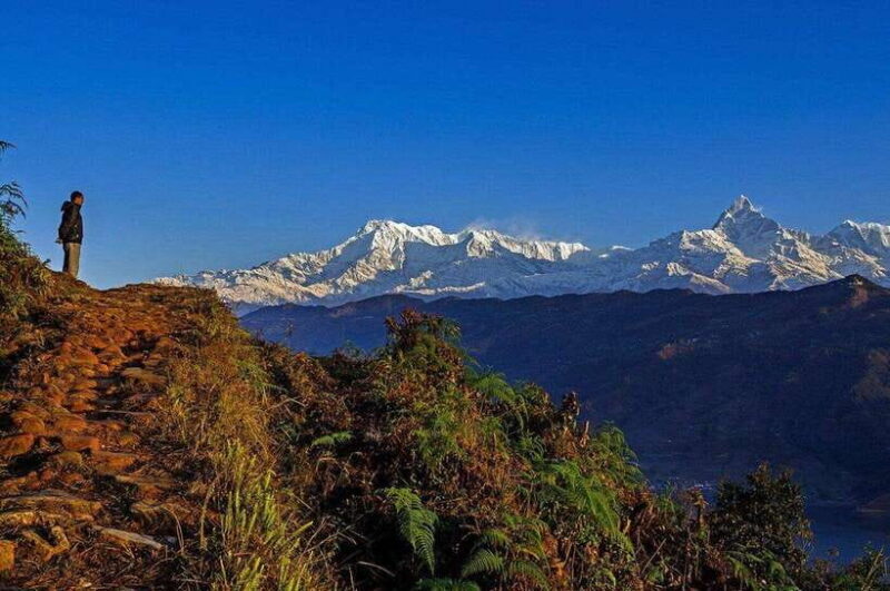 Unforgettable Memories: best view points and Soak in Pokhara - Exploring the Details: What Makes This Tour Special