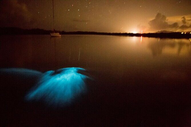 Unforgettable One Day Bioluminescent Kayak Adventure in Vieques - The Experience Breakdown