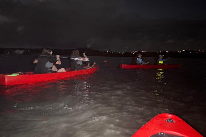 Unforgettable One Day Bioluminescent Kayak Adventure in Vieques - FAQ