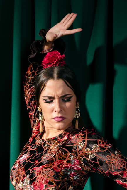 Unforgettable Seville: Tour of Seville and the Jewish Quarter + Flamenco Party Show - The Flamenco Experience: A Genuine Cultural Close