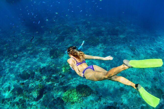 Unforgettable Snorkel Adventure in Cancun whit Transpotations - The Itinerary in Detail