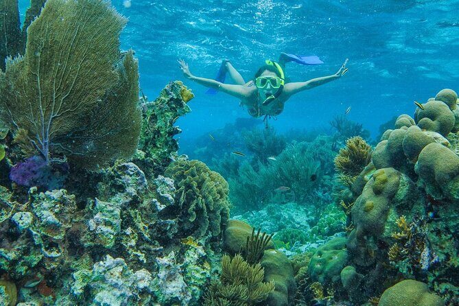 Unforgettable Snorkel Adventure in Cancun whit Transpotations - Who Is This Tour Best For?