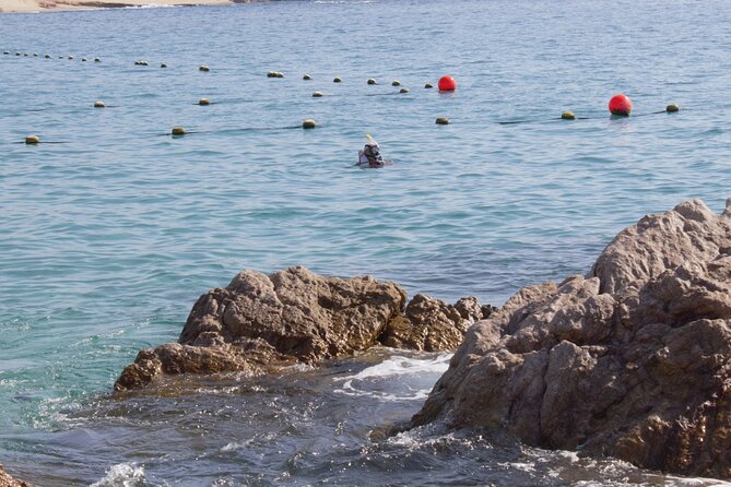Unforgettable Snorkeling Activity in the Sea of Cortes - Snorkeling Safety Tips for Beginners