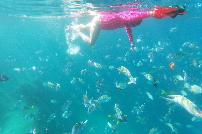 Unforgettable Snorkeling Activity in the Sea of Cortes - Common Questions