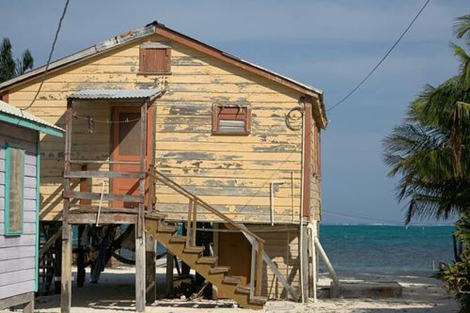Unforgettable Snorkeling Adventure: Encounter Sharks and Manatees - Equipment Provided