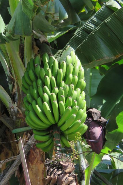 Unforgettable Southwest, Lighthouse, Rum, Banana & Landscape - Tour Overview