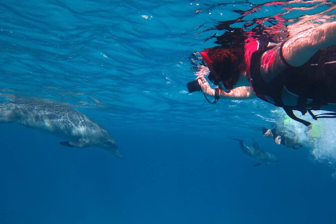 Unforgettable Submarine Trip With Snorkeling From Hurghada - Tour Highlights