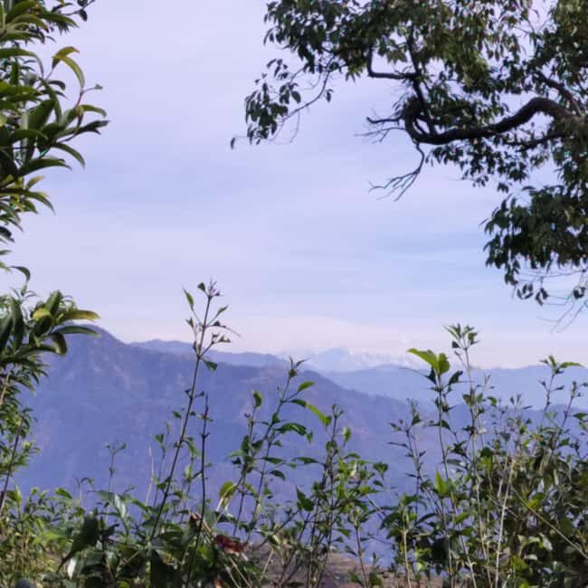 Unforgettable Tour of Rishikesh - Why Choose This Tour?