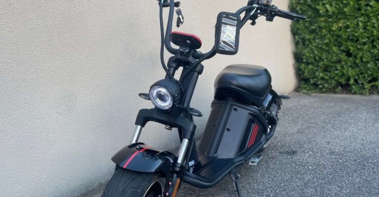 Unforgettable Walk in the Middle of Avignon - Historical Landmarks to Explore