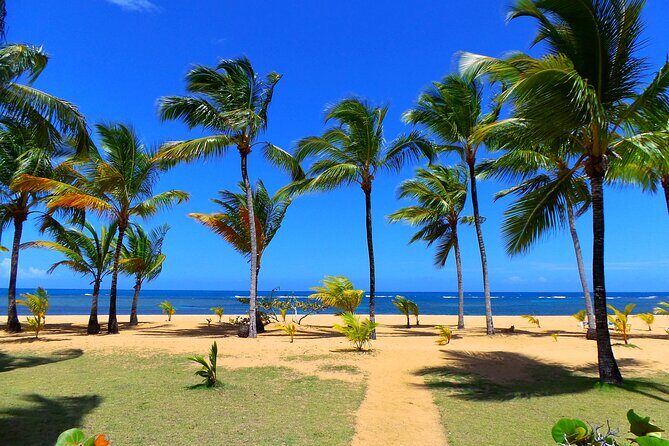 Unforgettable Week in the Dominican Republic - Unforgettable Week in the Dominican Republic — A Balanced Look at This Wide-Ranging Tour