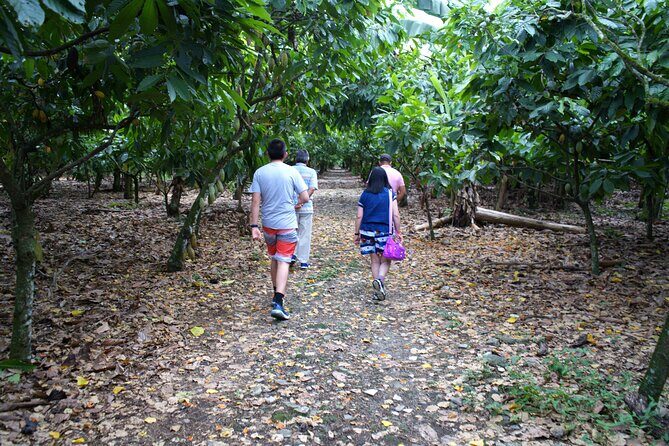 Unforgettable Week in the Dominican Republic - Exploring Santo Domingo: The Heart of the First Colonial City