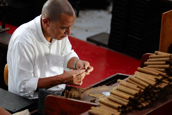 Unforgettable Week in the Dominican Republic - Practical Details That Matter