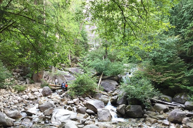 Unforgettable Whistler ( Full Day Private Tour) - Pricing and Terms