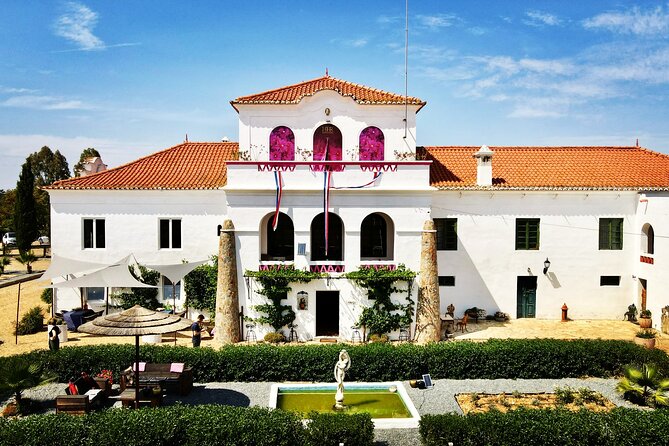 Unforgettable Wine Tasting Experience in Mértola, Alentejo - Pricing and Booking Details
