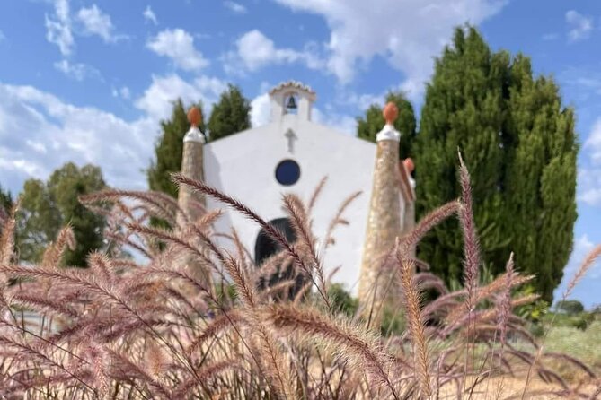 Unforgettable Wine Tasting Experience in Mértola, Alentejo - Overview of the Wine Tasting Experience