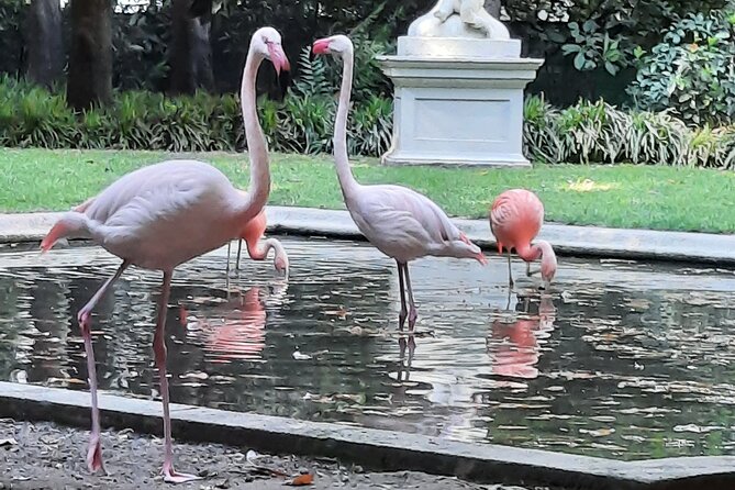 Unicorn Catcher Fantastic Milan City Exploration Game - Meeting and Pickup Details