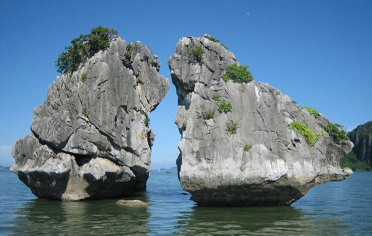 Unique 2 - Day Halong Ninh Binh Farming Tour - Tour Booking Details