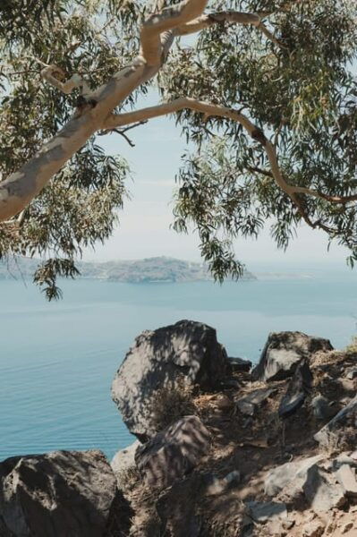Unique 3-Hour Tour of Santorini for Cruise Ship Passengers - Why Choose This Tour