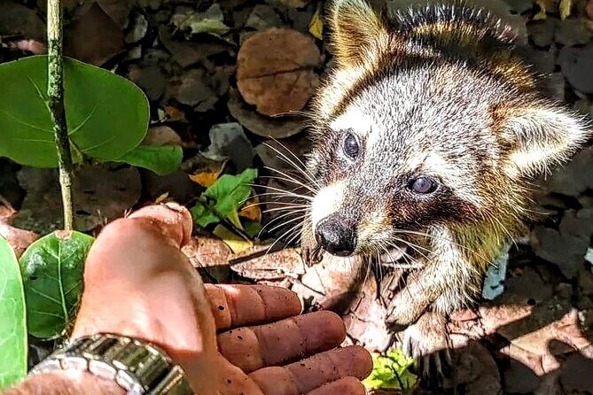Unique 5 Hours-Boat Tour to Raccoon Island from Fort Lauderdale - Who Would Enjoy This Tour?