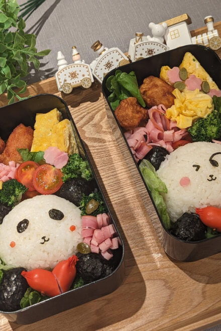 Unique Activities in Japan - Tokyo Bento Experience - Whats Included in the Experience
