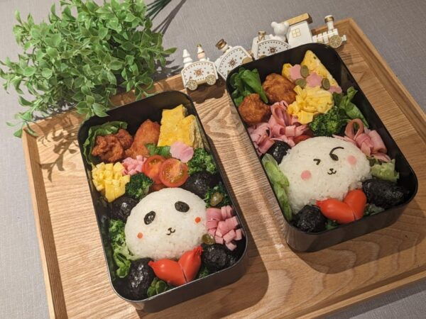Unique Activities in Japan - Tokyo Bento Experience - Dietary Considerations and Restrictions