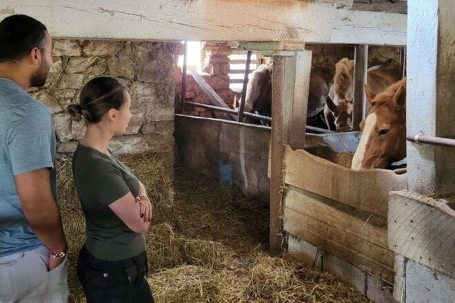 Unique Amish Immersion Experience - Important Information and Restrictions