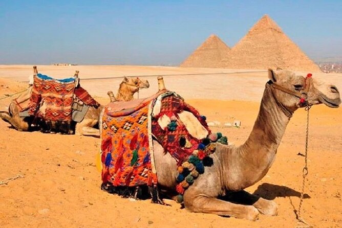 Unique Ancient Egypt, Trip to Cairo, Pyramids, Sphinx, Museum - Tour Highlights and Itinerary
