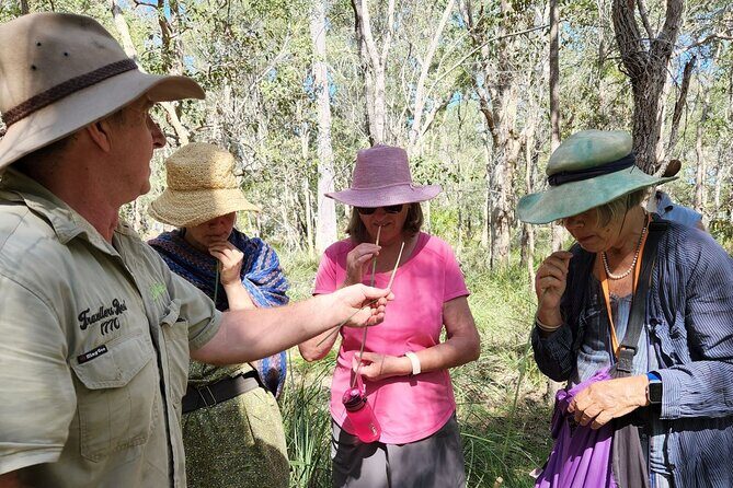 Unique and Personal BushTracks Eco Tour in Agnes Water 1770 - An Introduction to the BushTracks Eco Tour Experience