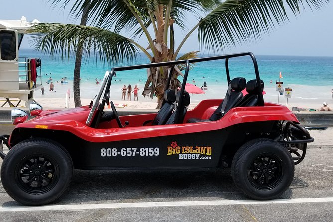 Unique Buggy Rental on the Big Island, Hawaii - Pricing and Booking Details