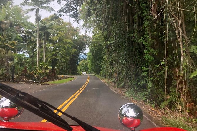 Unique Buggy Rental on the Big Island, Hawaii - Customer Reviews and Host Responses