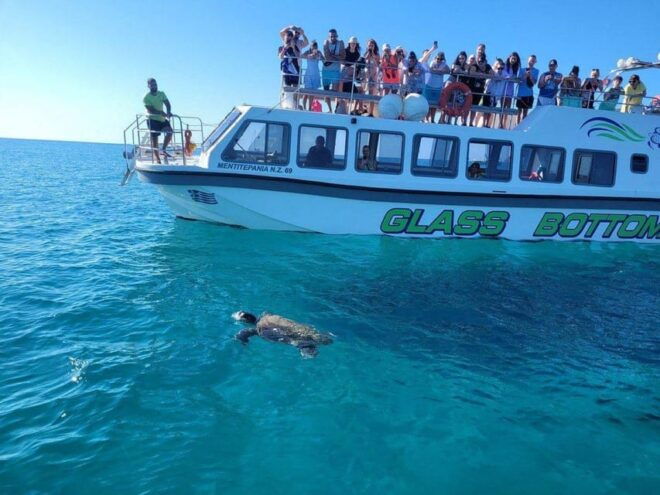 Unique Cruise to Shipwreck Beach and Local Blue Caves - Inclusions and Amenities