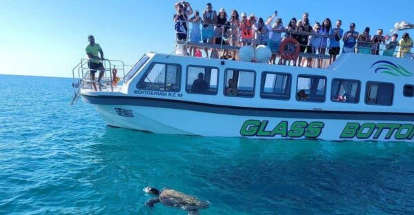 Unique Cruise to Shipwreck Beach and Local Blue Caves - What to Bring