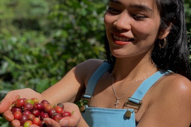 Unique Dalat Forest Coffee Harvest, Production & River Experience - Directions for the Experience