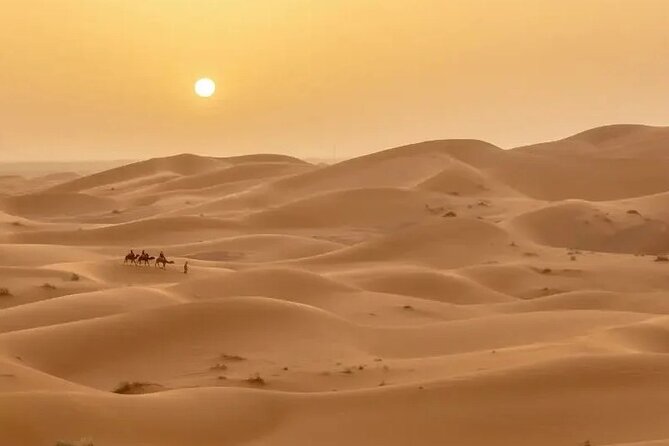 Unique Desert Experience 5 Days Tour From Fes to Marrakech - The Sum Up
