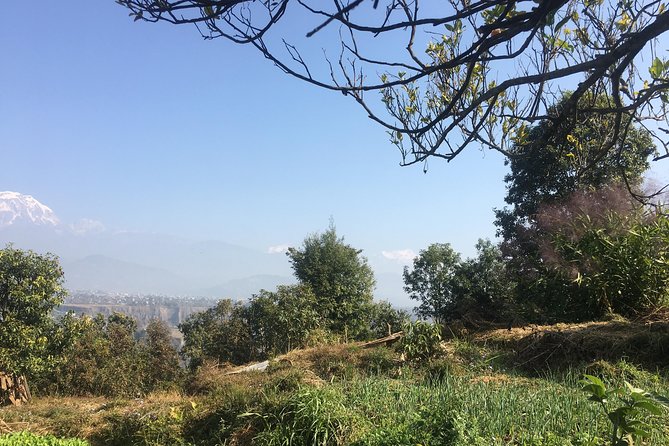 Unique Easy Hiking to Foxing Hill From Pokhara - Common Questions