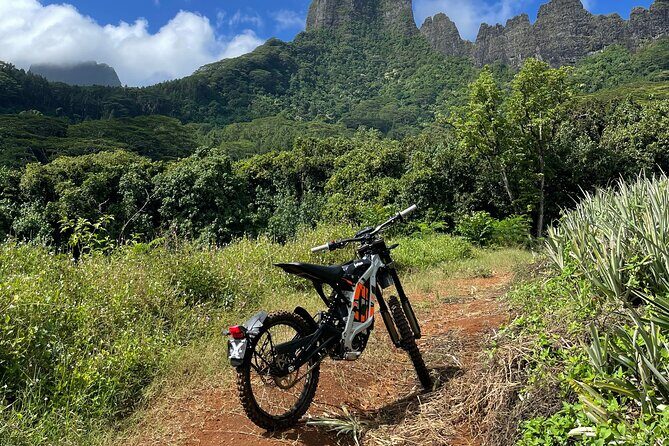 Unique excursion to Moorea on a 100% electric motorbike - What Makes This Tour Stand Out
