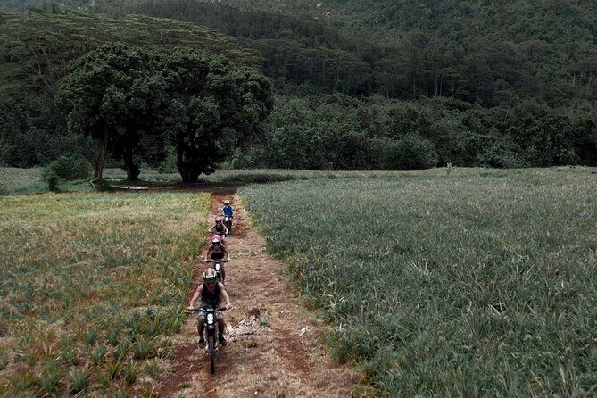 Unique excursion to Moorea on a 100% electric motorbike - FAQ