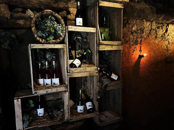 Unique Experience in a Medieval Winery With Wine Tasting - Good To Know