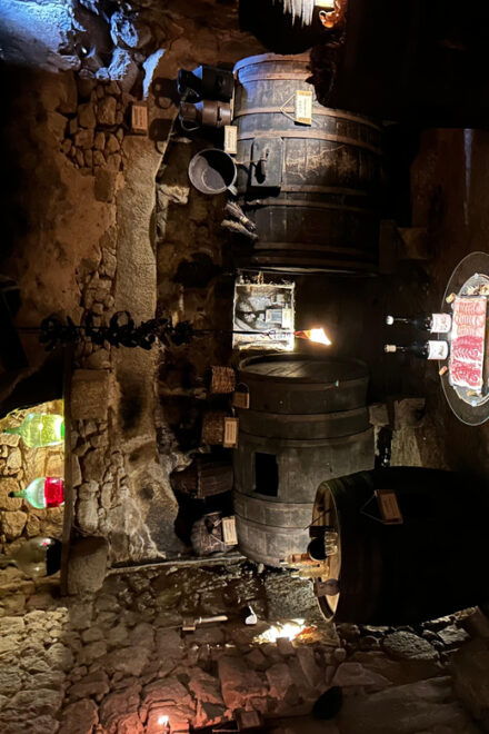 Unique Experience in a Medieval Winery With Wine Tasting - Sustainable Wine Production