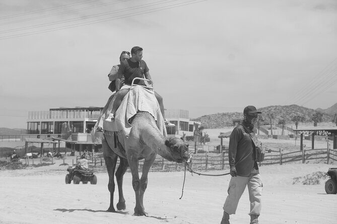 Unique experience on Sky Bike, Atv and Camels from Cabo San Lucas - The Tequila Tasting and Extras