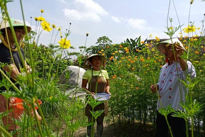 Unique Farm to Table Cooking Class in Saigon - Flexible Pickup Time Options