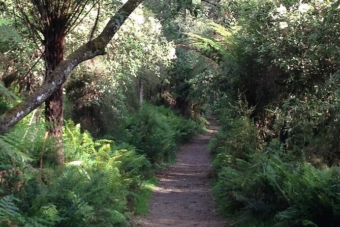 Unique, Fun, Personalised One-on-one Tours & Activities of Melbourne & Surrounds - Common Questions